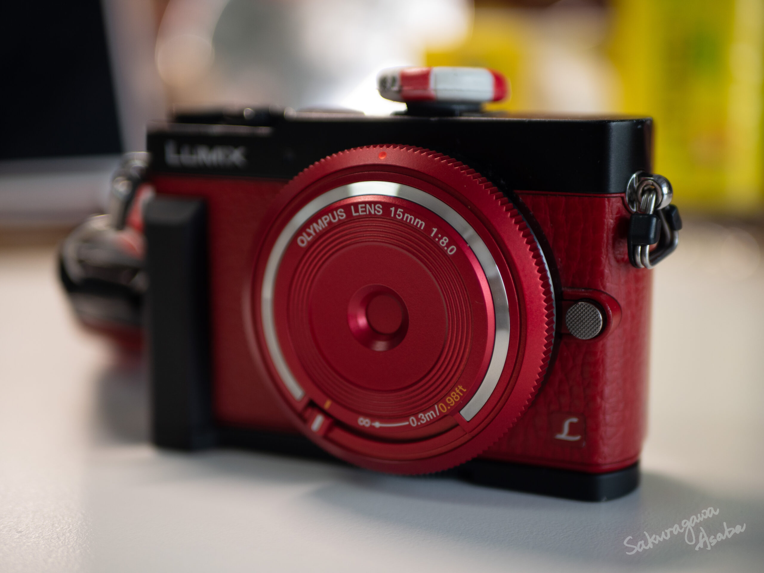 profiel Definitief deuropening 滿配版隨身小相機：Panasonic Lumix GM5 和它的小夥伴們