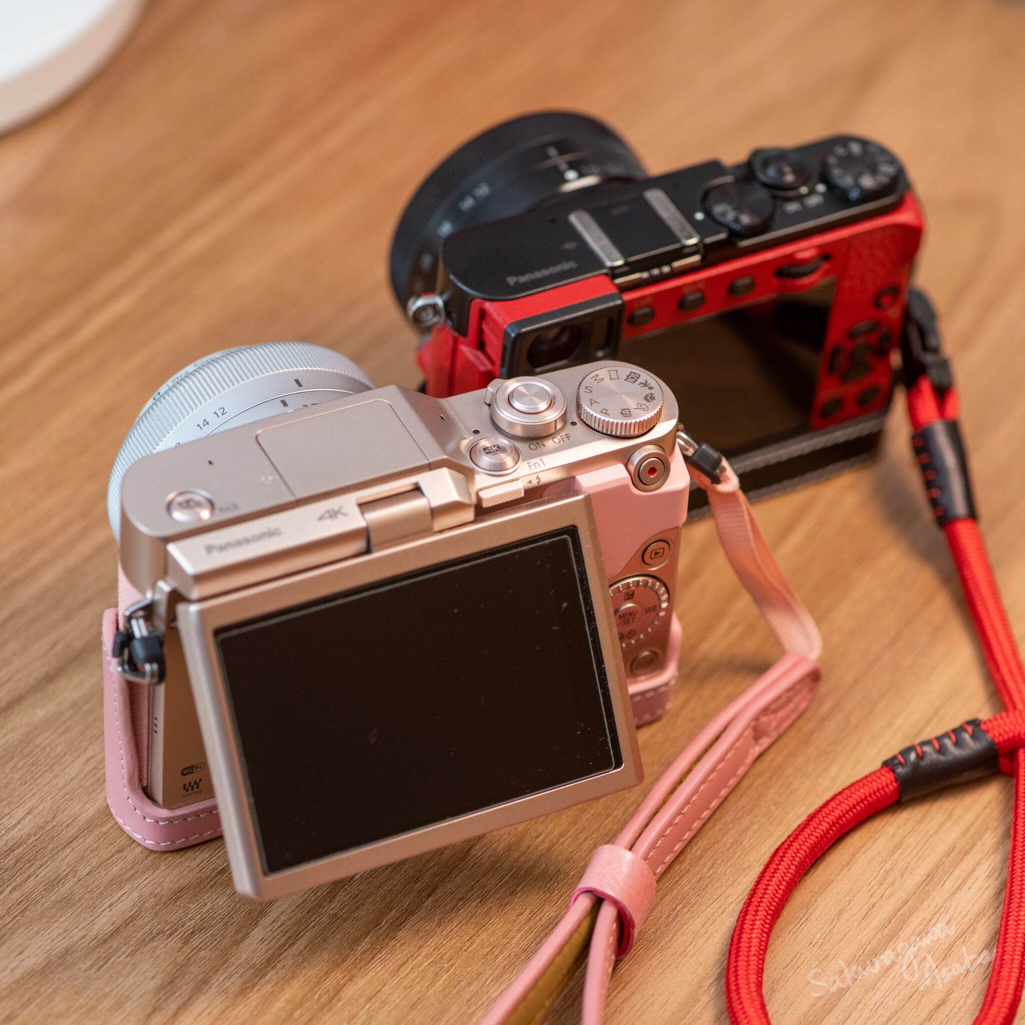 松下 Panasonic Lumix GF10 動手玩及對比 GM5「升級」感想